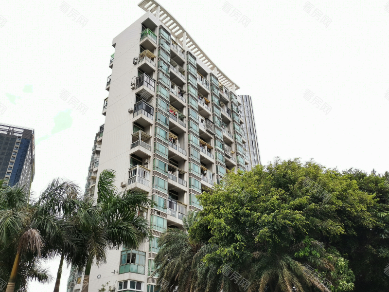 深圳南荔苑小区信息图片6