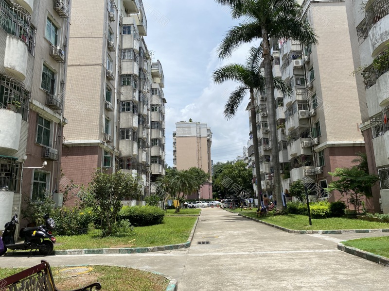 深圳鹏兴花园一期小区信息图片3