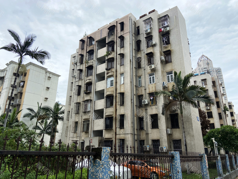 深圳深大新村小区信息图片3