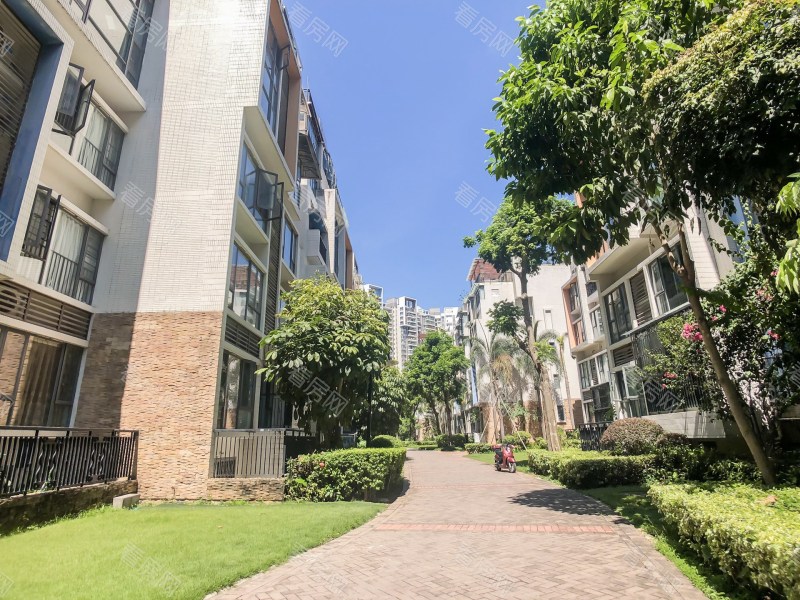 深圳泰华阳光海小区信息图片7