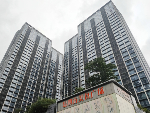 深圳南园枫叶国际广场小区信息图片