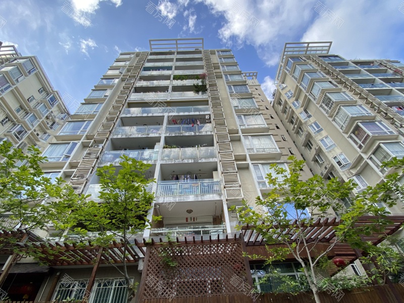 深圳科苑学里小区信息图片13