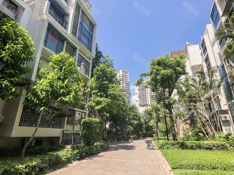 深圳泰华阳光海小区信息图片5