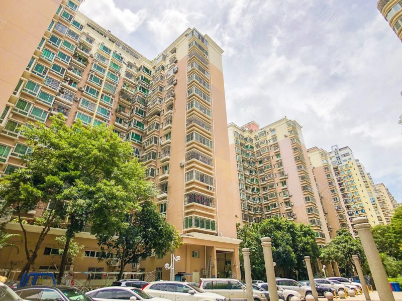 深圳新锦安雅园一期小区信息图片5