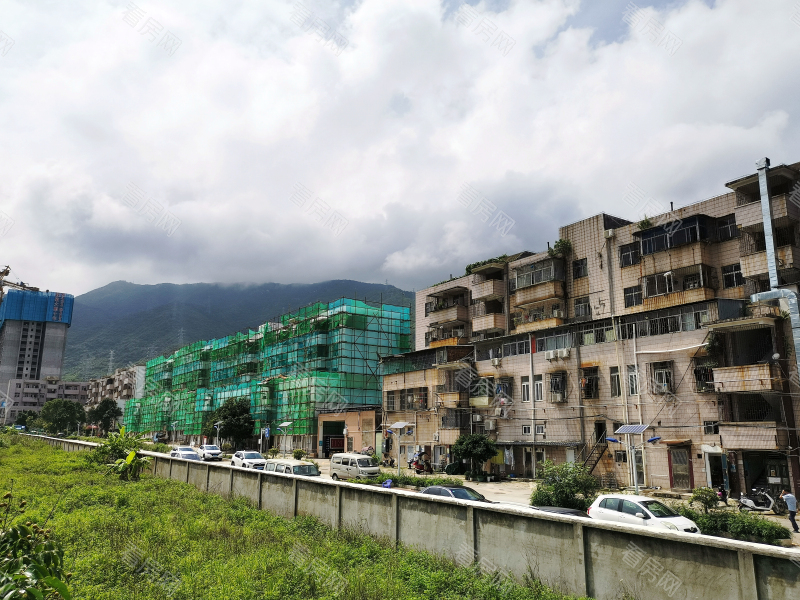 深圳龙岭花园小区信息图片9