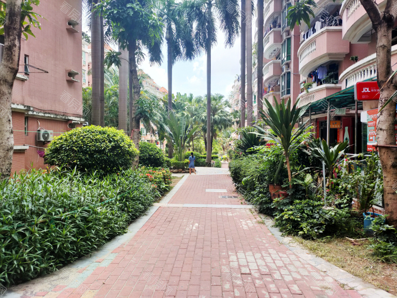 深圳阳光花园小区信息图片4