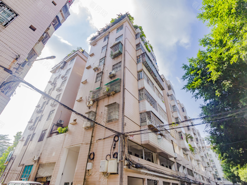 佛山珠江小区小区信息图片11