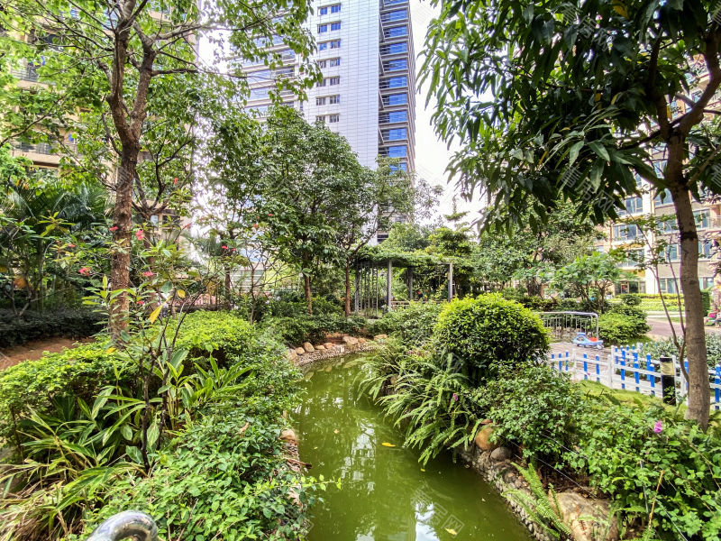 深圳同和悦园小区信息图片6