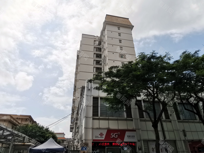 深圳千禧大厦小区信息图片6