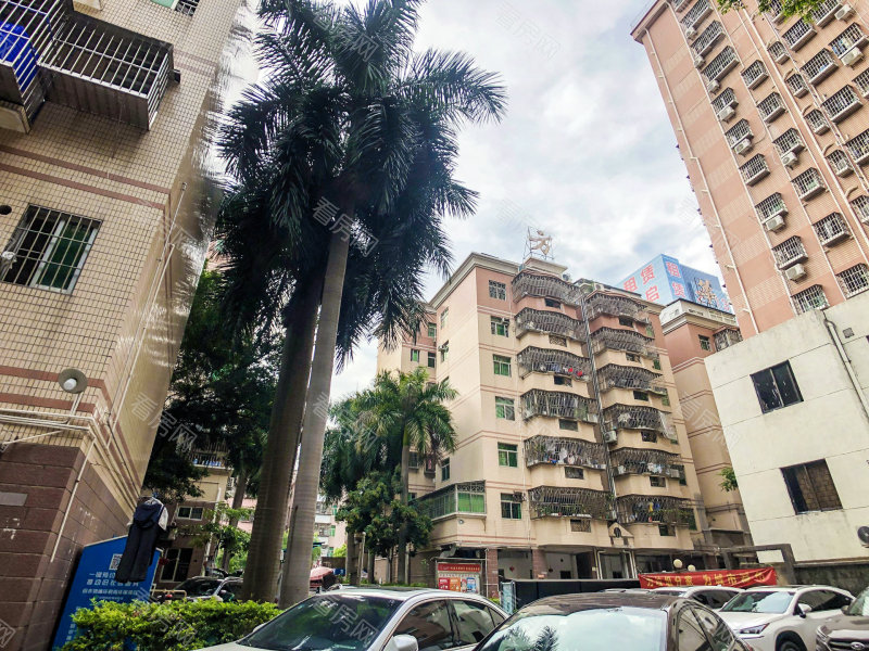 深圳雅涛花园小区信息图片13