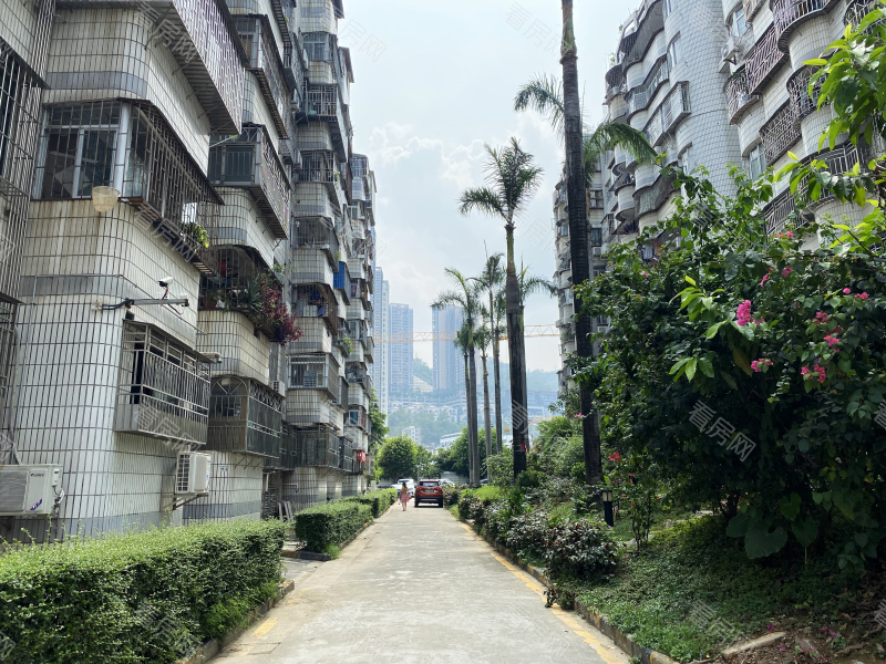 深圳德兴花园南区小区信息图片7