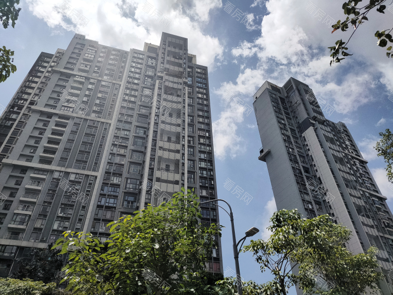 深圳纯海岸雅居小区信息图片1