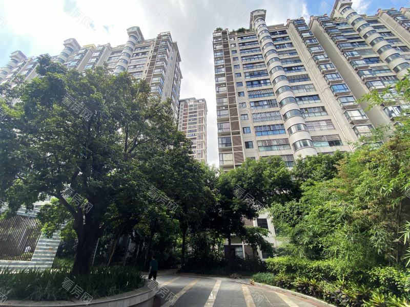 珠海鸿馨园小区信息图片8