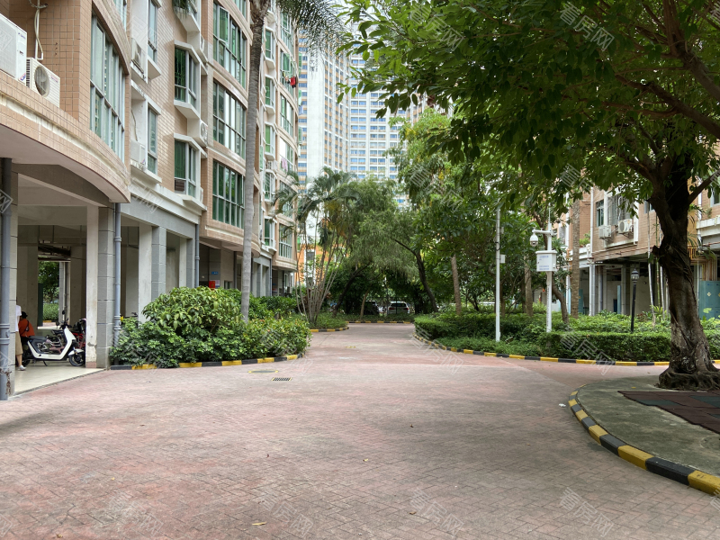 深圳辛诚花园小区信息图片7