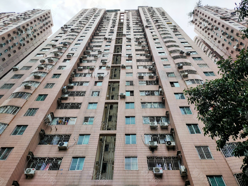 深圳龙珠花园(龙岗)小区信息图片10