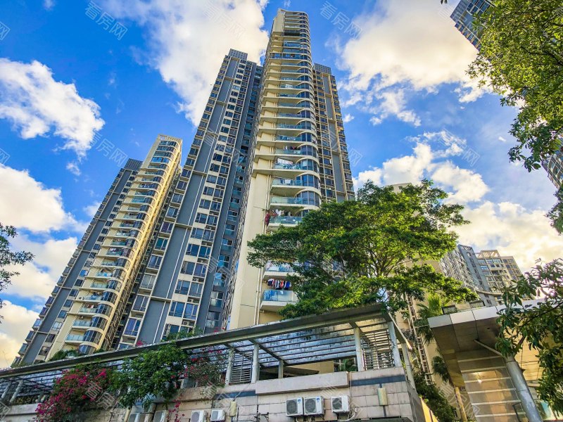 深圳金泓凯旋城一期小区信息图片12