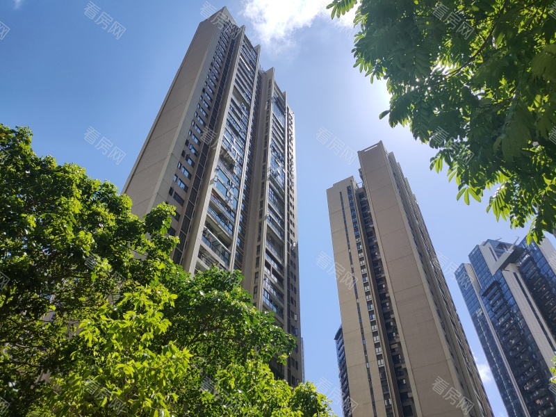 深圳大冲城市花园小区信息图片10