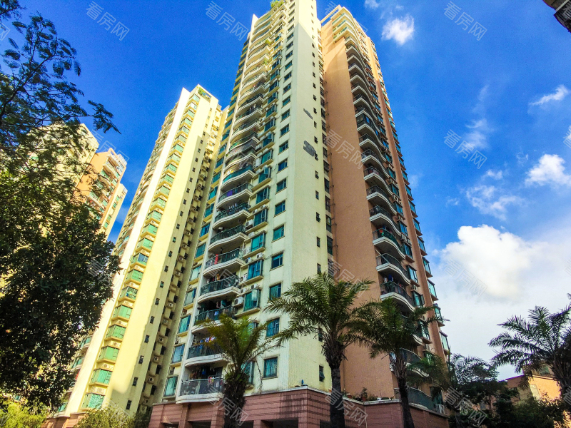 深圳丽景城小区信息图片12