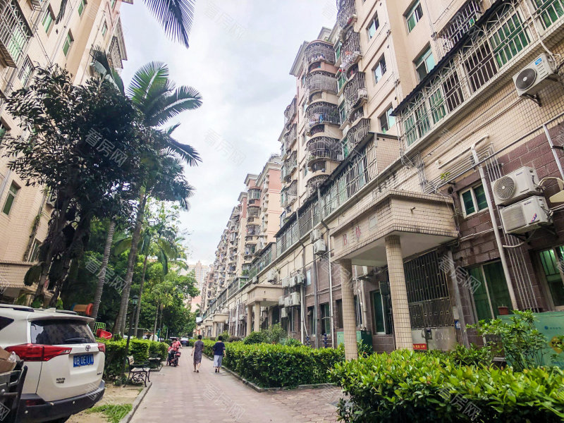 深圳雅涛花园小区信息图片6