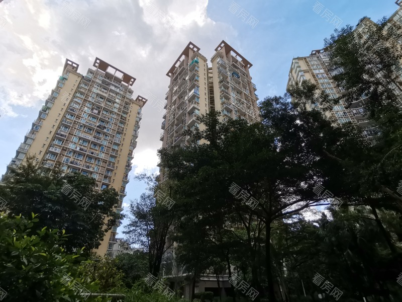 深圳星海名城三期小区信息图片11