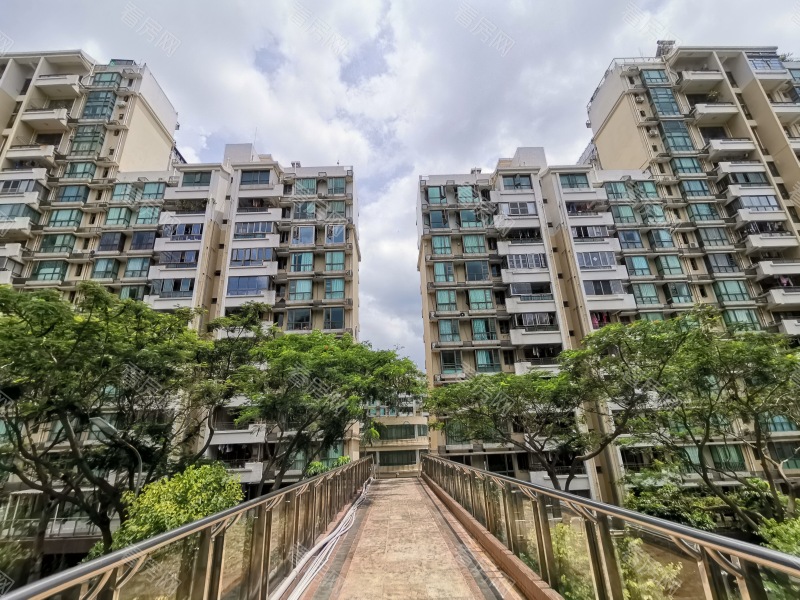 深圳合正锦园南区小区信息图片4