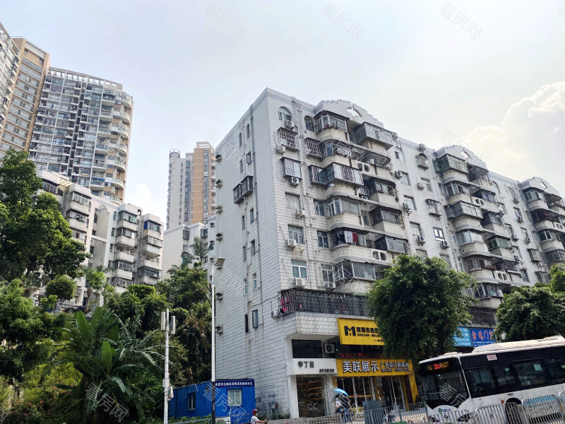 深圳德兴花园南区小区信息图片13