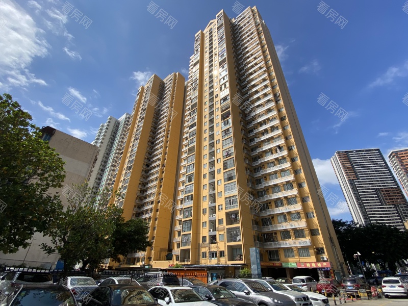 深圳深发花园小区信息图片5