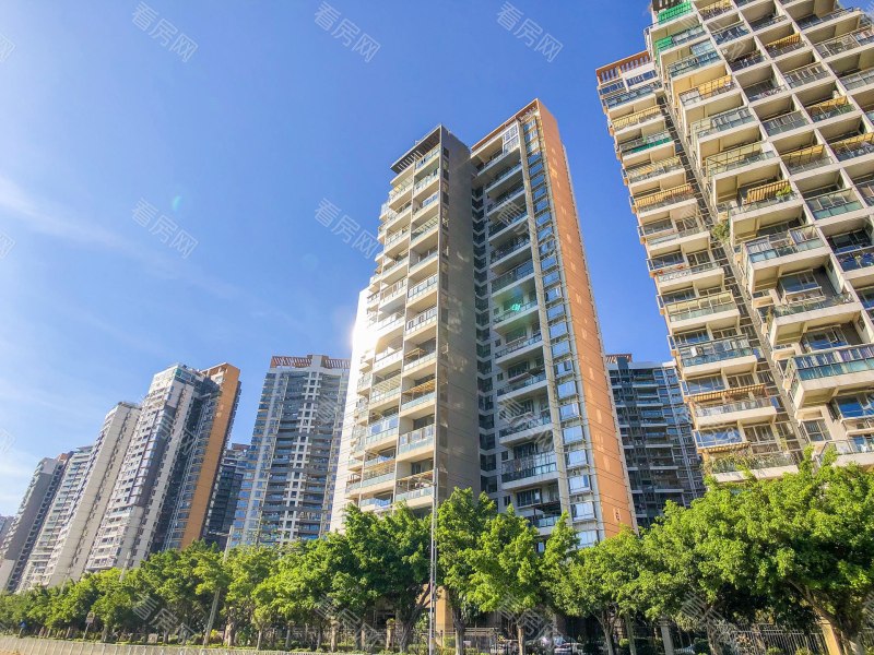 深圳深业新岸线三期小区信息图片8