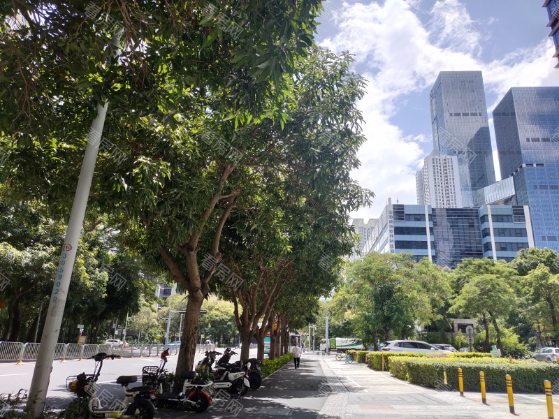 深圳金地国际公寓小区信息图片7