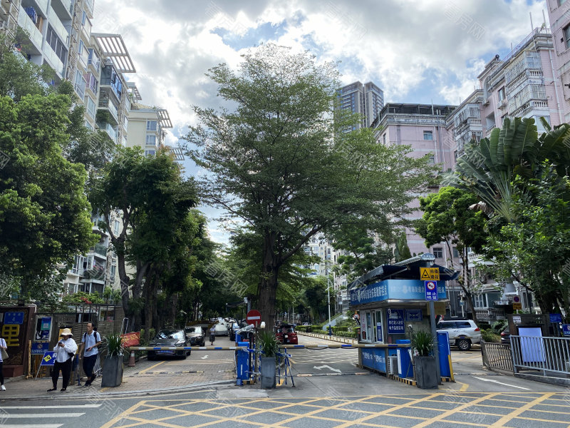 深圳科苑学里小区信息图片2