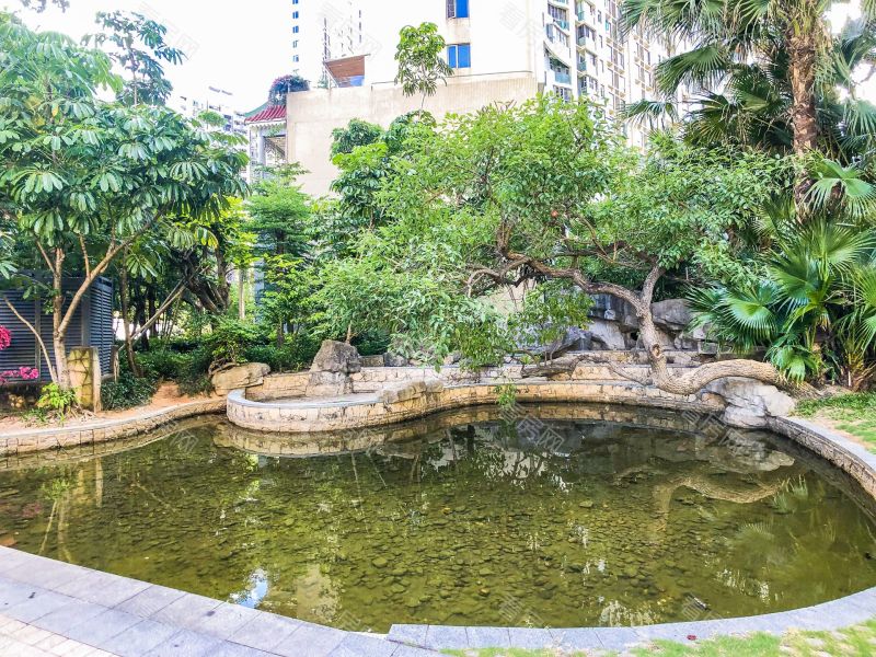 深圳金泓凯旋城一期小区信息图片7