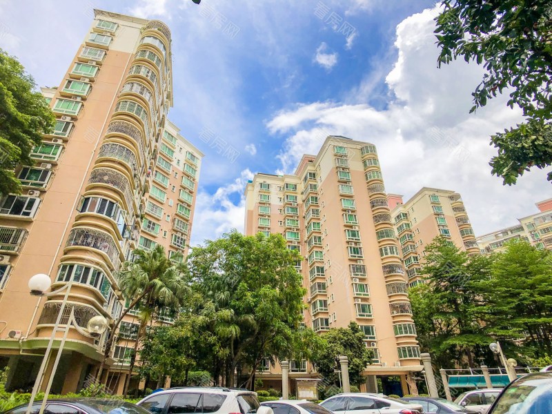 深圳新锦安雅园一期小区信息图片4