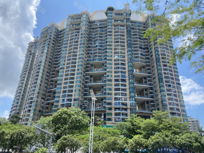 深圳金港豪庭小区信息图片6