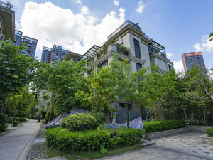 深圳仁山智水三期小区信息图片