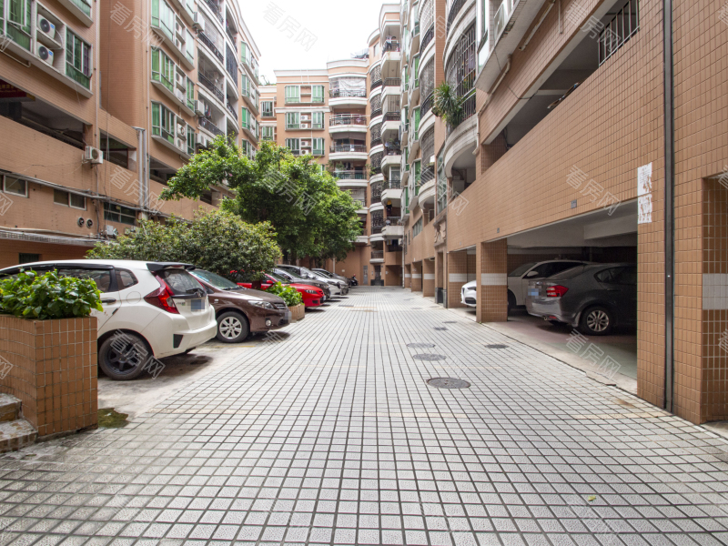 佛山德怡居小区信息图片5