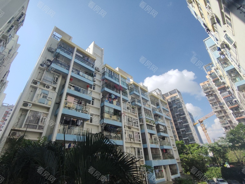 深圳雷圳0755小区信息图片6