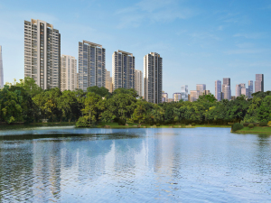 上海中粮前滩海景壹号小区信息图片