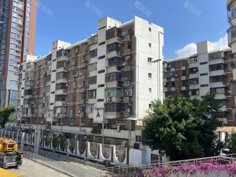 深圳口岸宿舍小区小区信息图片7