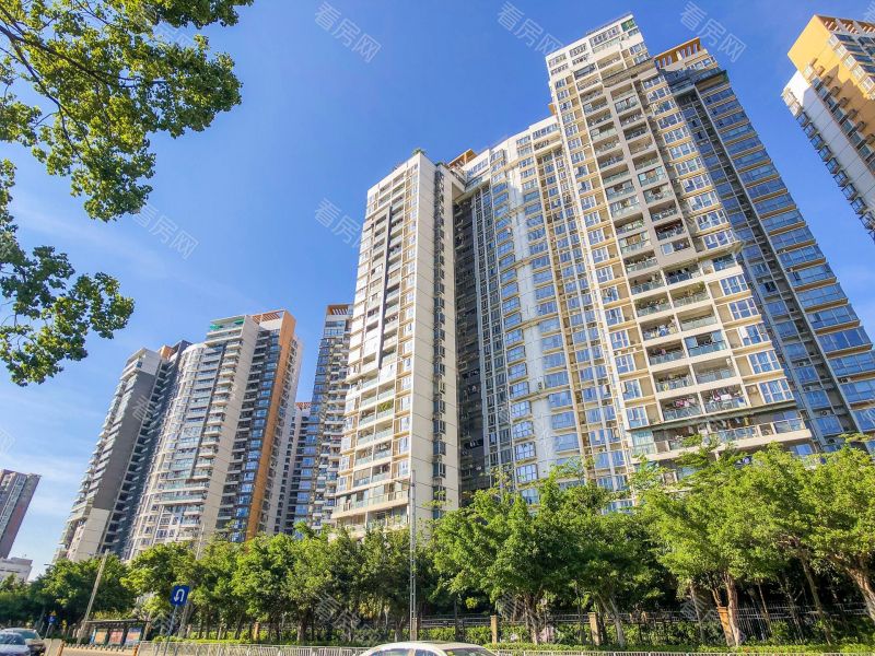 深圳深业新岸线三期小区信息图片9