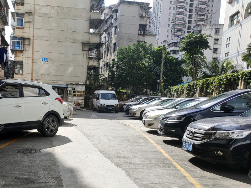 深圳金盾花园小区信息图片3