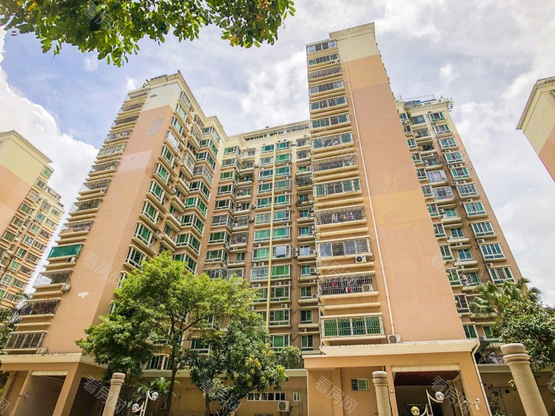 深圳新锦安雅园一期小区信息图片7