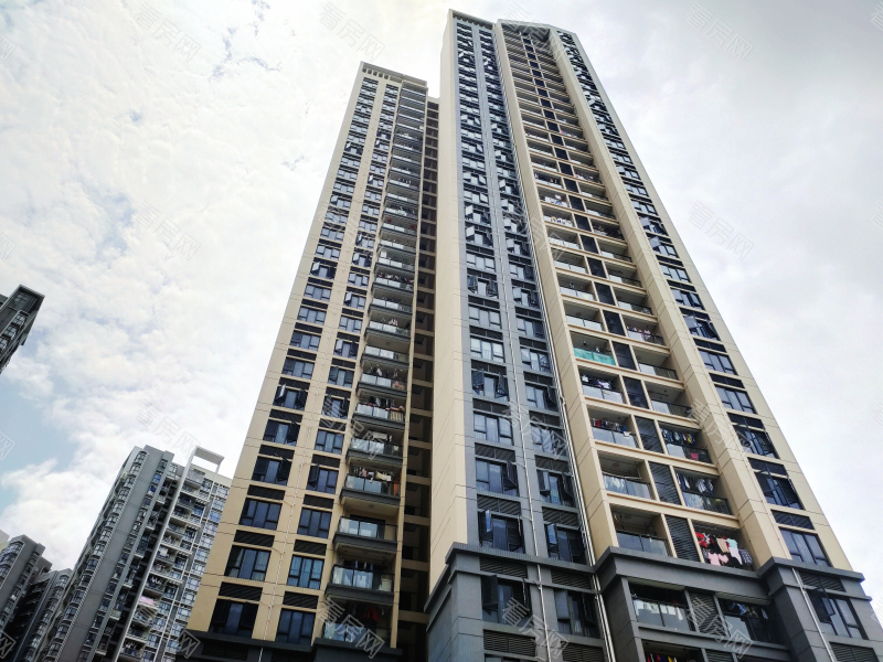 深圳花语馨小区信息图片8