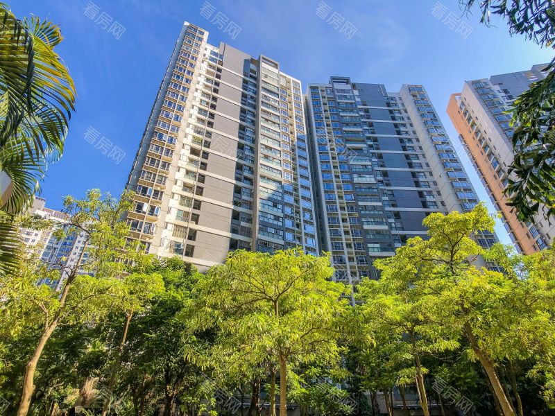 深圳深业新岸线三期小区信息图片11