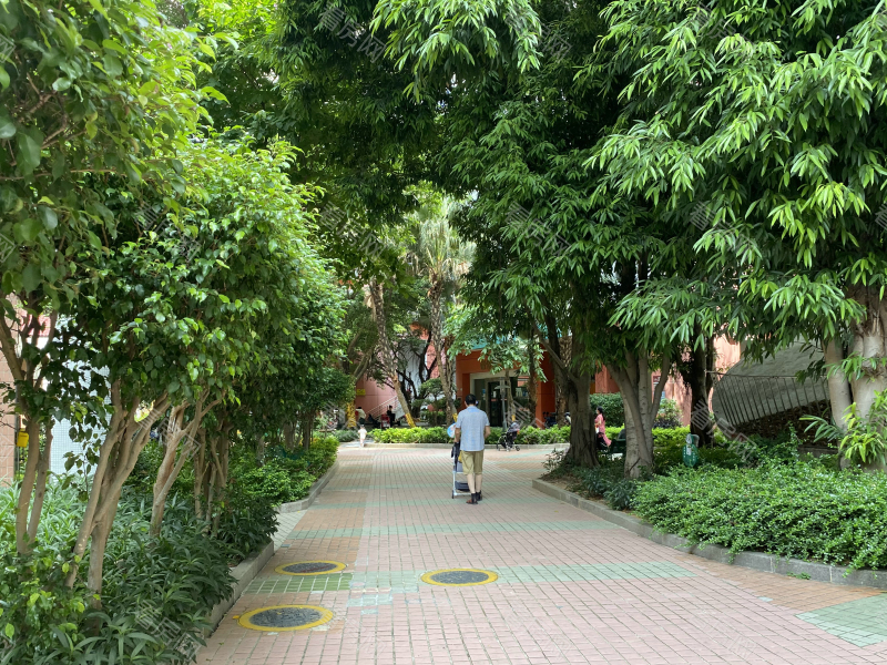 深圳桐景花园小区信息图片4