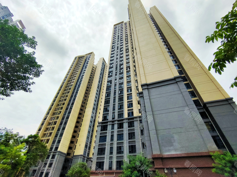 深圳花语馨小区信息图片10