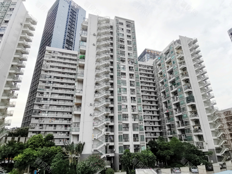 深圳南荔苑小区信息图片3