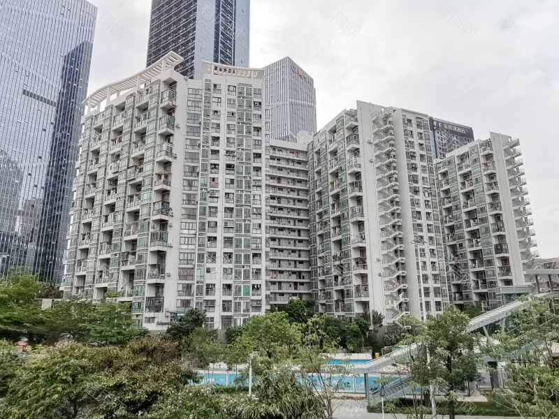 深圳南荔苑小区信息图片1