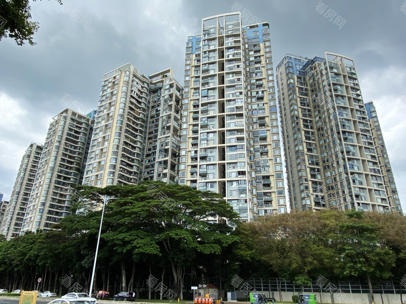 深圳碧海云天二期小区信息图片2