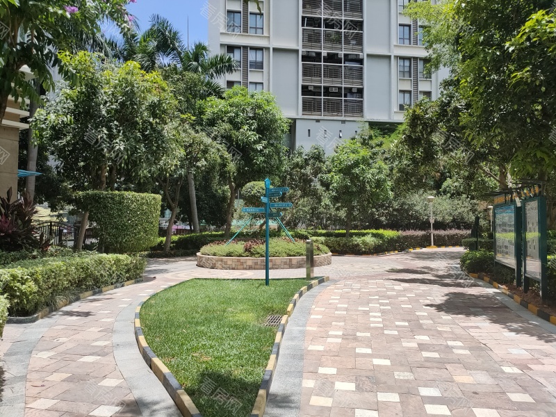深圳滨海之窗小区信息图片3