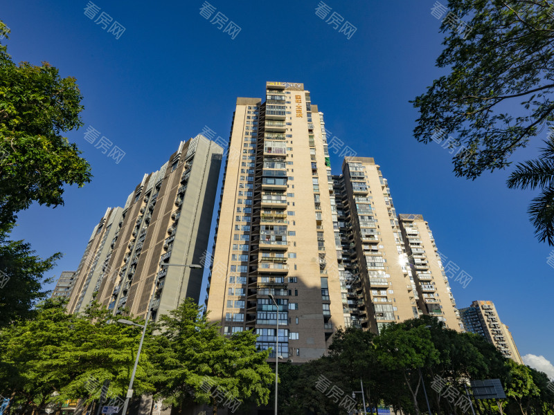 深圳太古城北区小区信息图片2